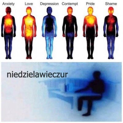 29a5e854-f5c6-4f16-b799-b595f2ad0c6e