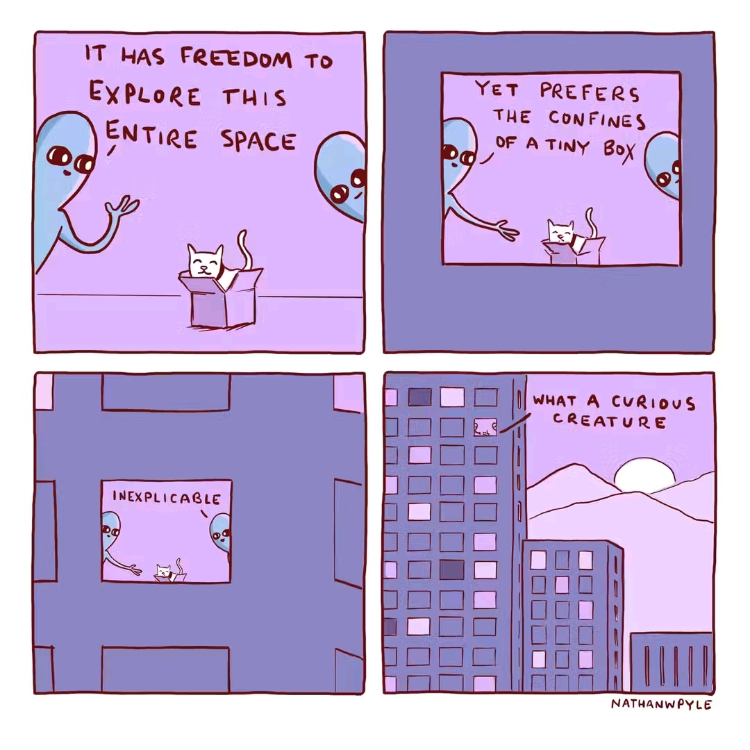 6fbd8a8d-a3e7-4dd5-a4ed-4c8529e839ef