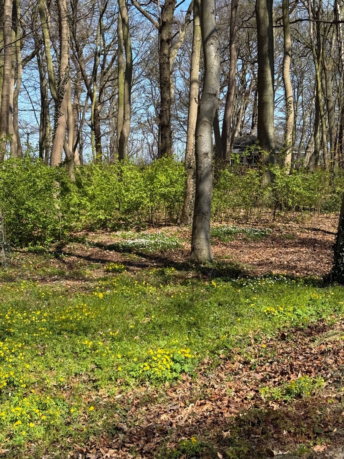 0893c4b4-c87f-4412-9148-755aea0323eb