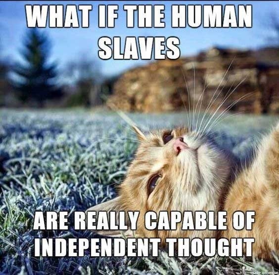 1deae536-9cd7-4fd1-8507-dbef57aa6d0e