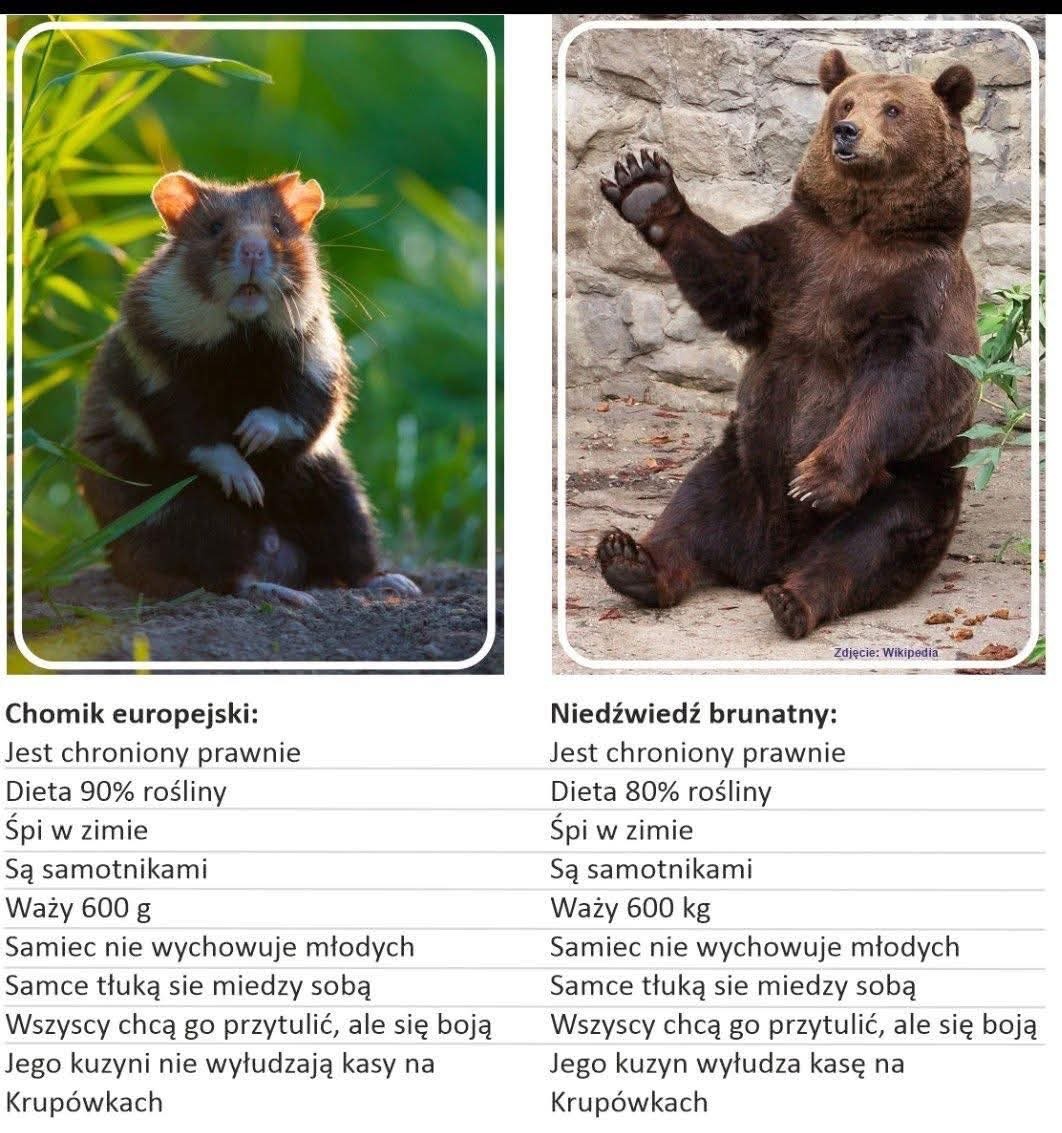 b5165fd9-eee3-405a-8a2c-d33df2901e1d