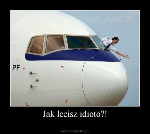 fe0125ae-b93e-465c-9c50-43782363b3bd