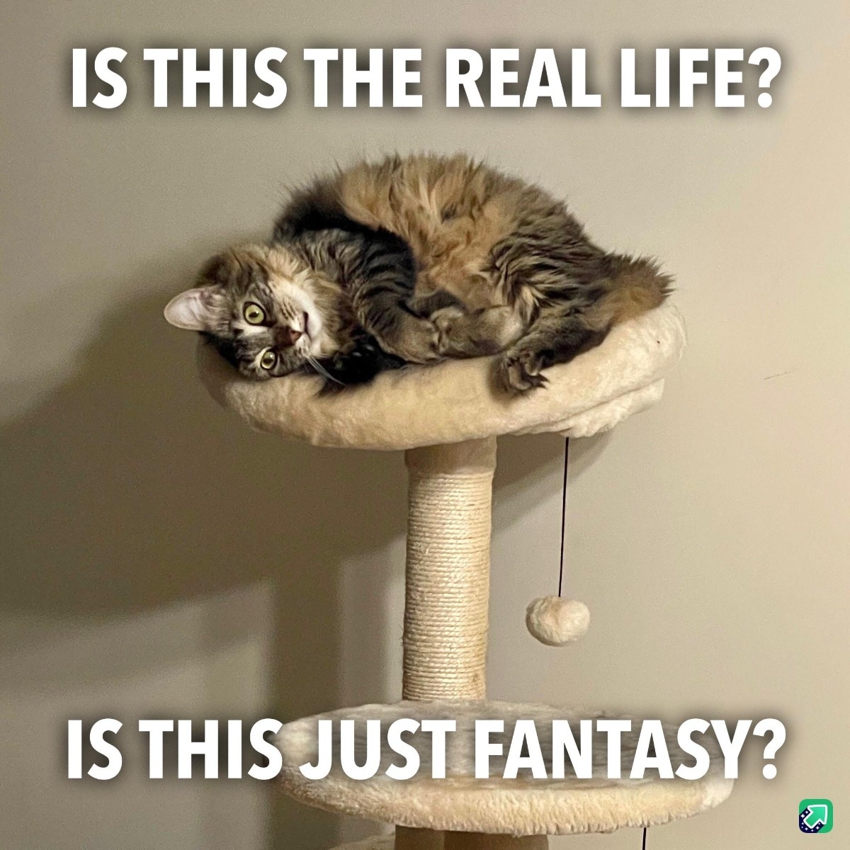 24e45bb6-4adb-42f0-8e5f-430772f97521