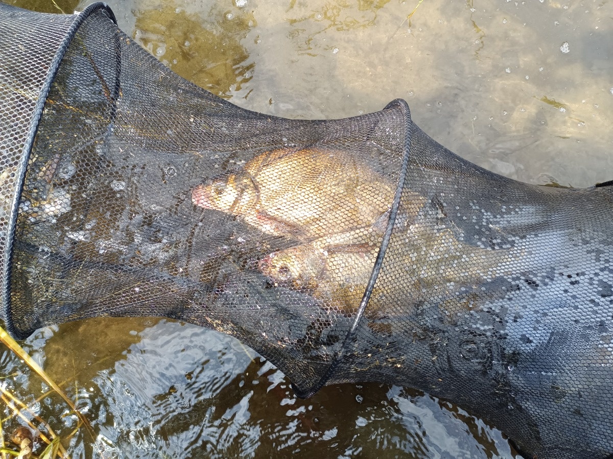 4ec710c0-ae88-40fd-8118-37a9e38818a5