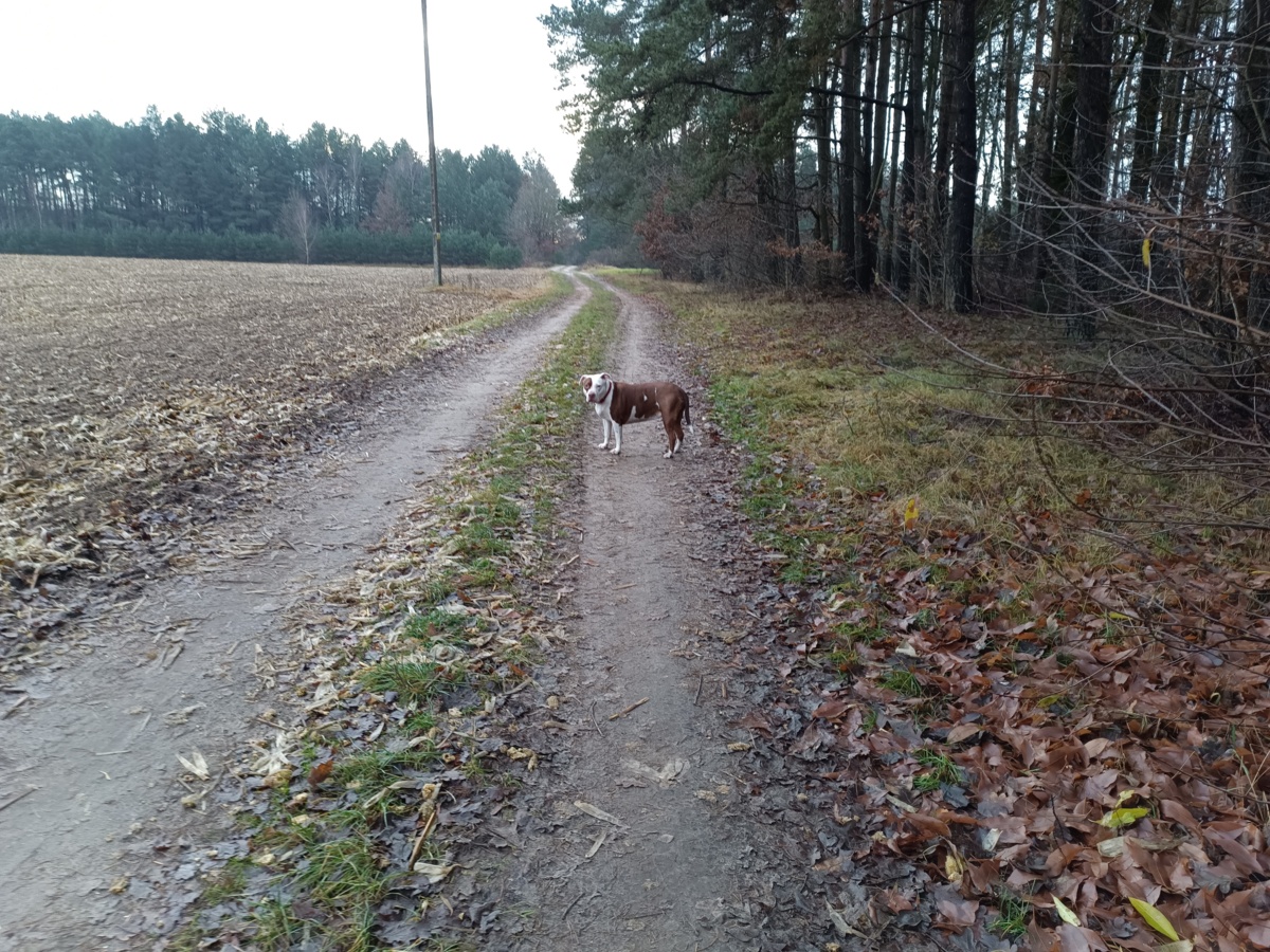 48611157-719b-428b-9c5e-d350882640a1