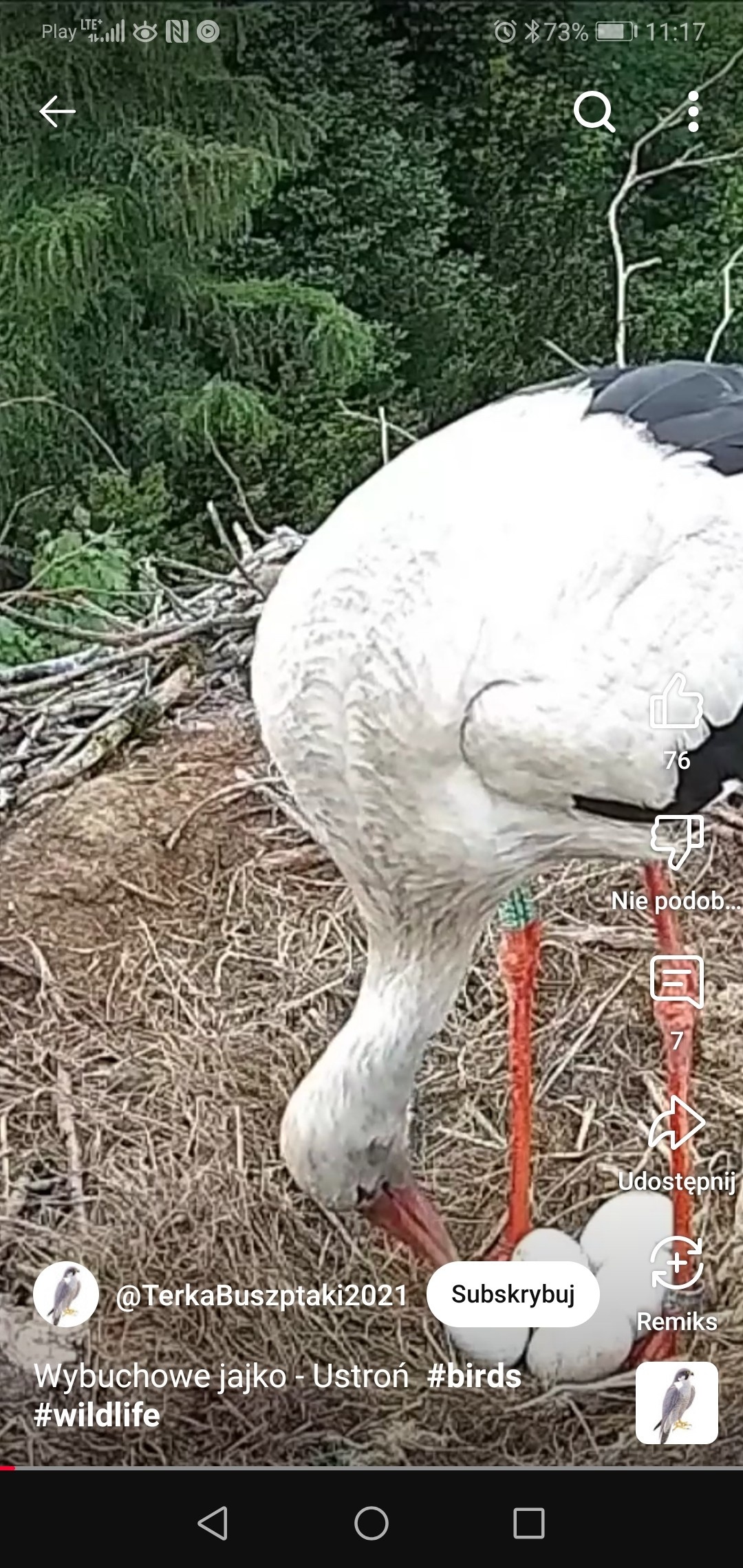 96ec3b2a-6a34-41fe-95fb-24275b4b7aa5