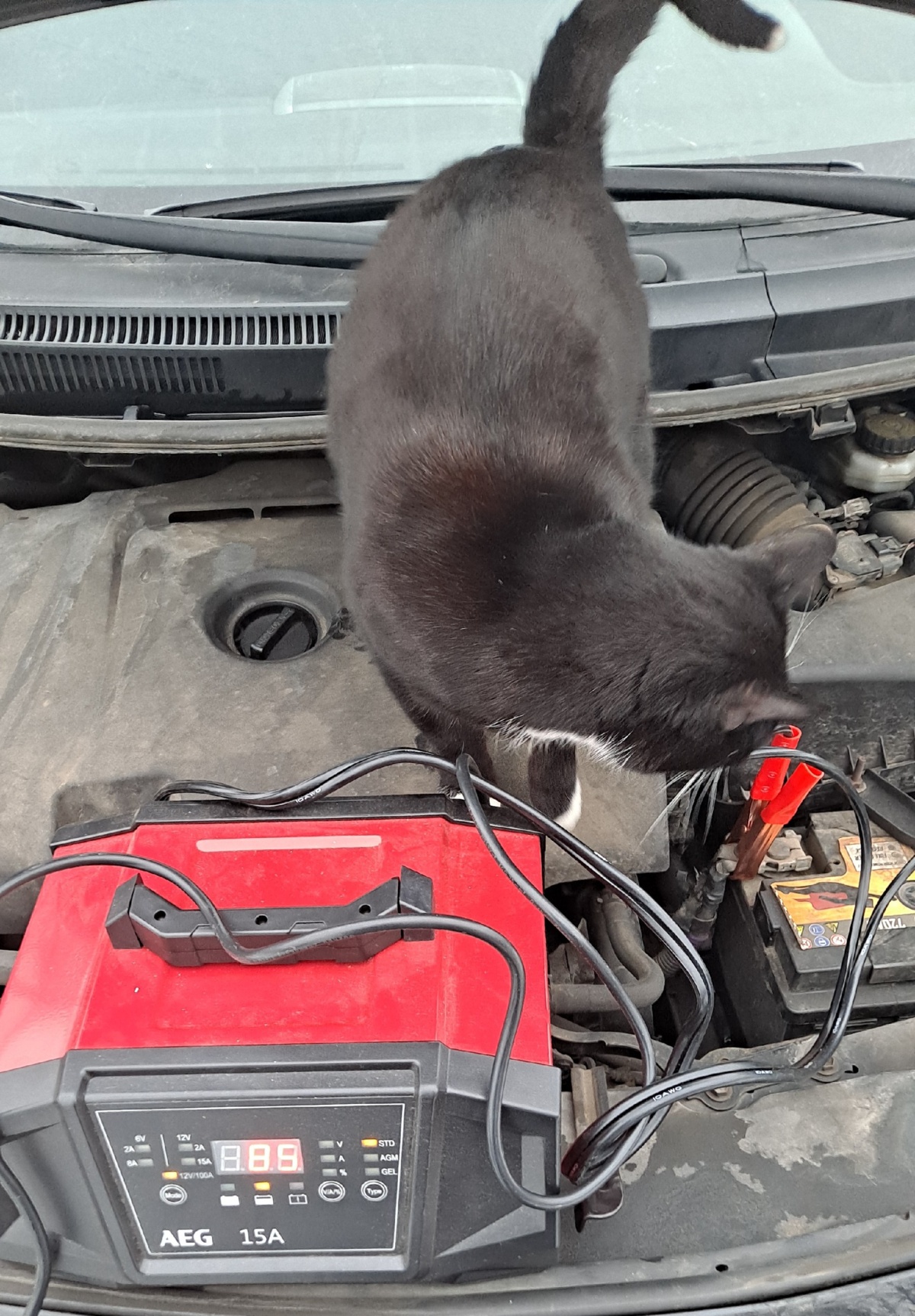 a7cf287e-be44-489b-9244-b2600b130ce1