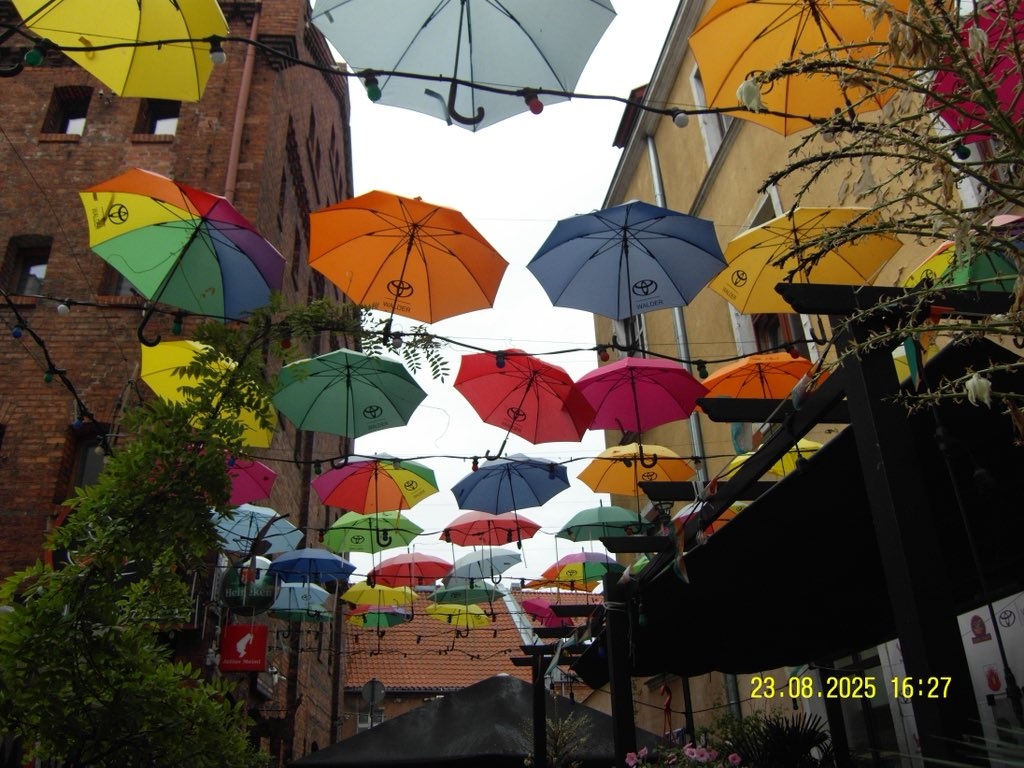 68cf640a-8ccc-4f8d-a6dc-c8743a88ed44