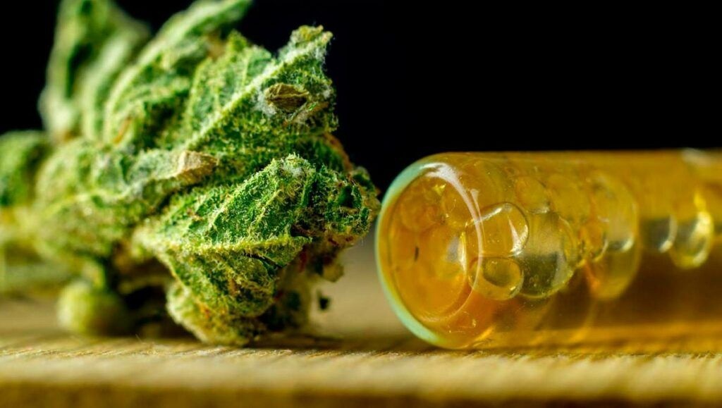 Informacje Dotyczące CBC