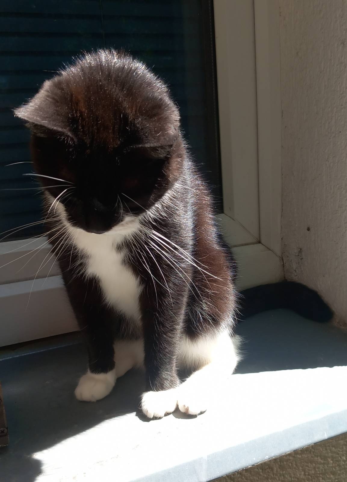 9b015df5-4f0d-43ae-9fdb-f4d99c6cea78