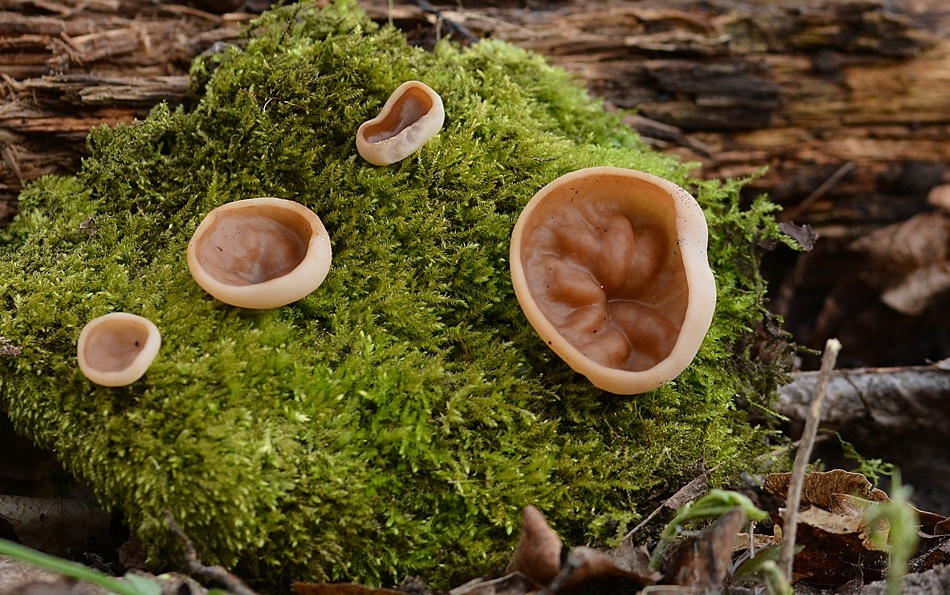 24ae5ab4-89ab-4cde-95c3-1238781f7a1a