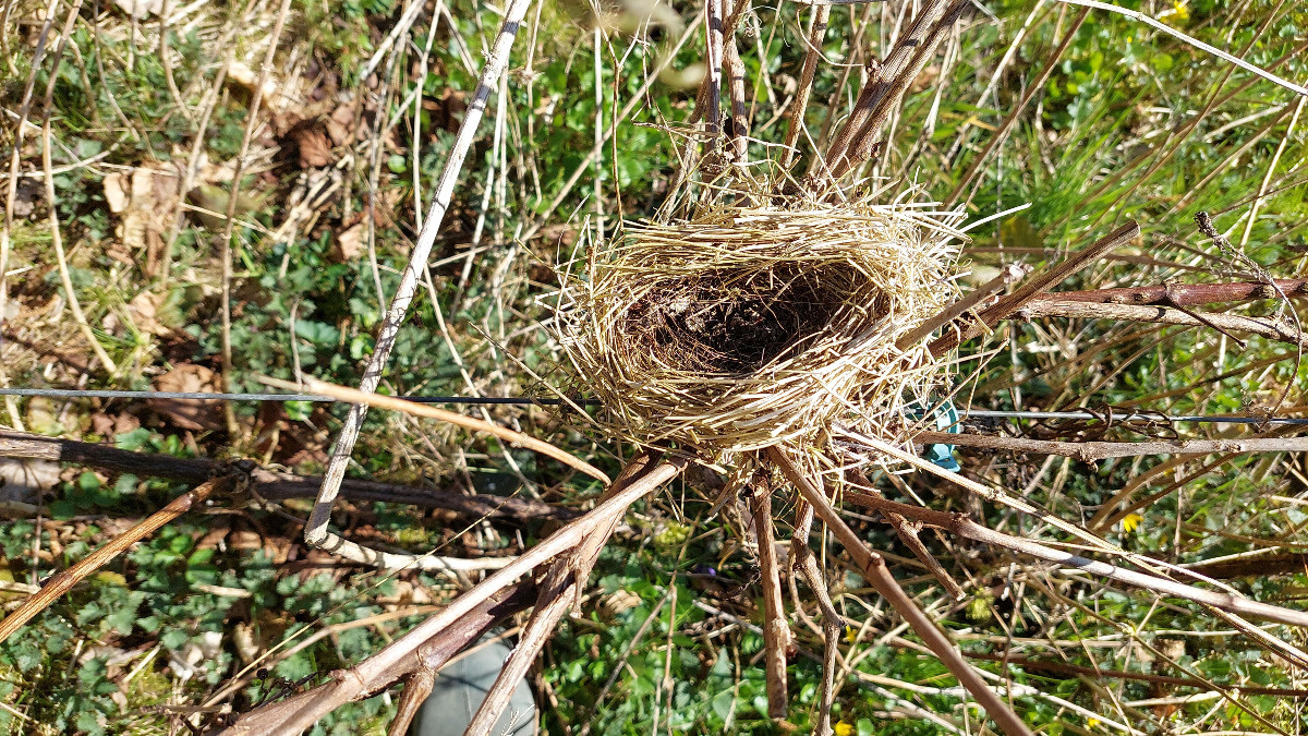 7b1bb827-079e-4b08-8dbd-85890bc3bbaf