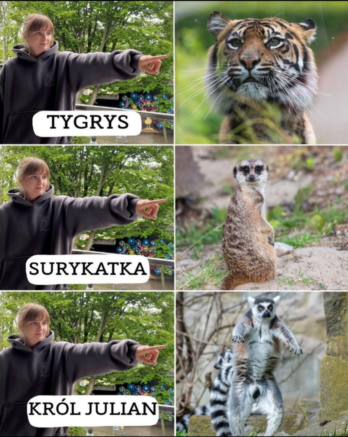 dfbadee9-12d9-41c2-a830-11ba9bc2d116