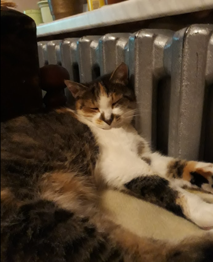 33b1f77c-4038-4b1f-9853-dc5ffaad42a5