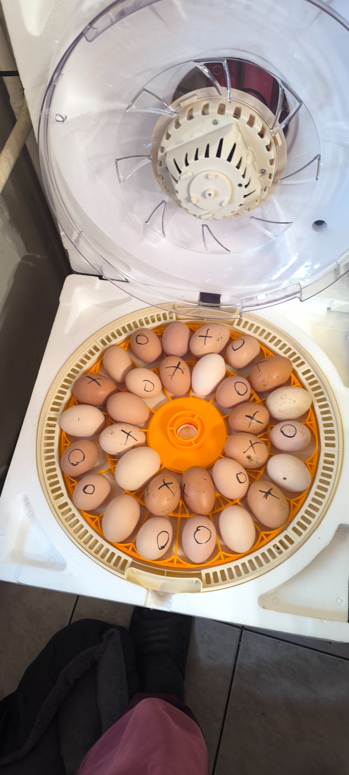 4fcde786-b667-4643-a056-7a95af301454