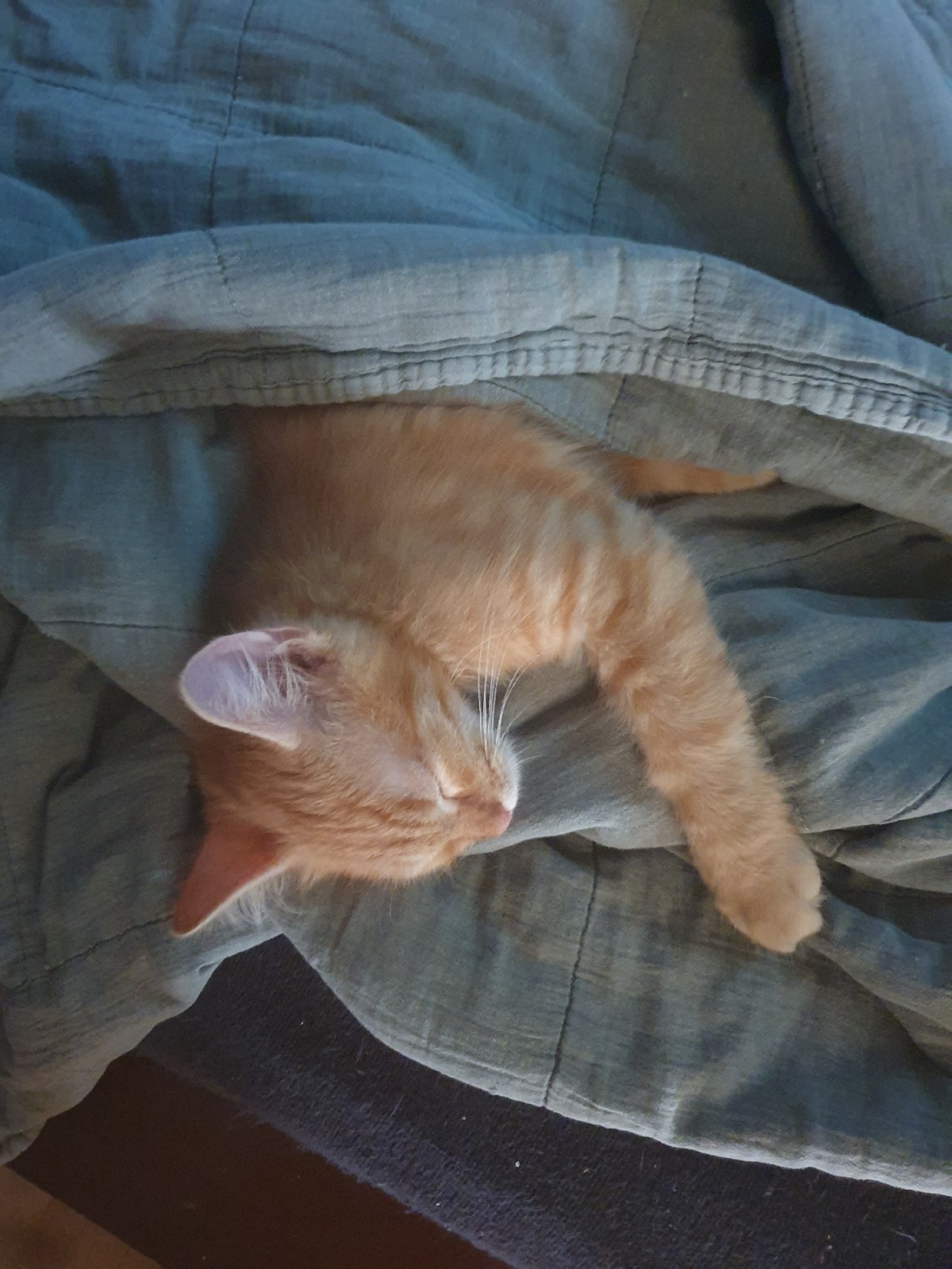 0468b397-fd7b-466d-9e9a-78fa48dc34e2