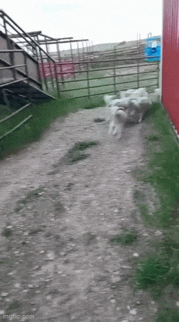 2b6c779b-1f04-479c-848c-3b324bf00d65