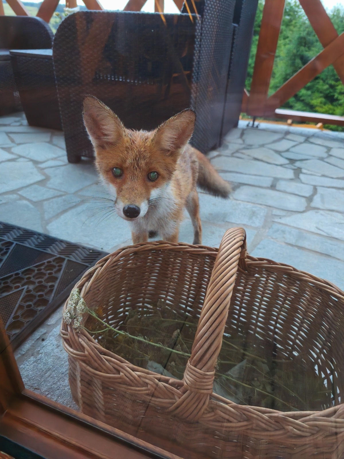 48452a49-3db8-4f51-9624-8eab9076f1ad