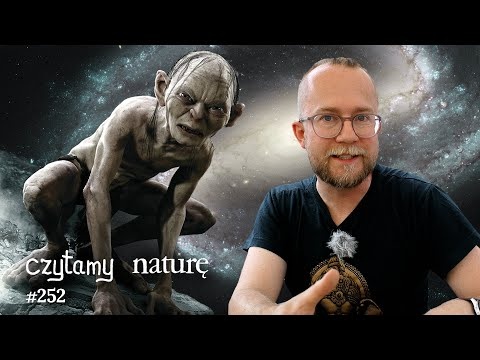 AI prognozuje pogodę - Galaktyka za szybka - Efekt Golluma | Czytamy naturę 252