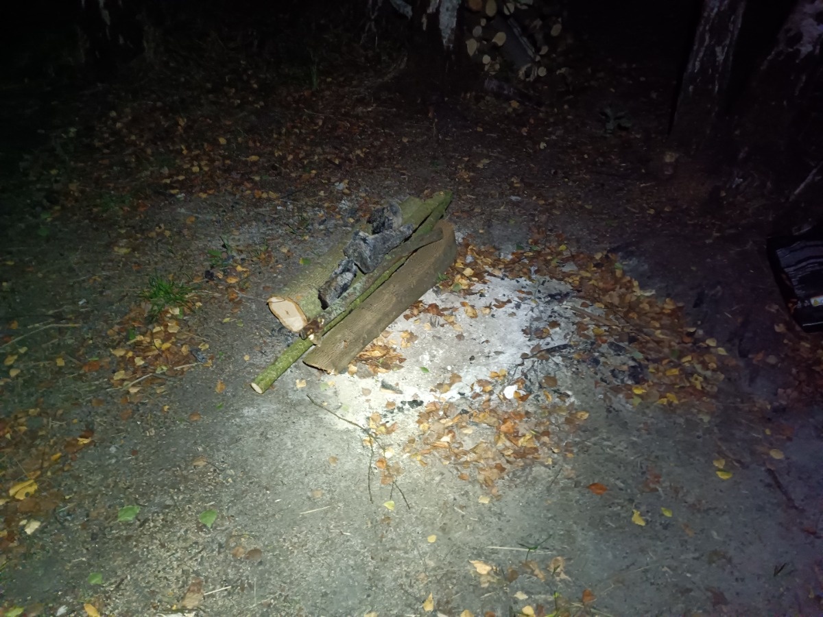 013b70c7-c09d-4685-a4d4-5736deaf8826