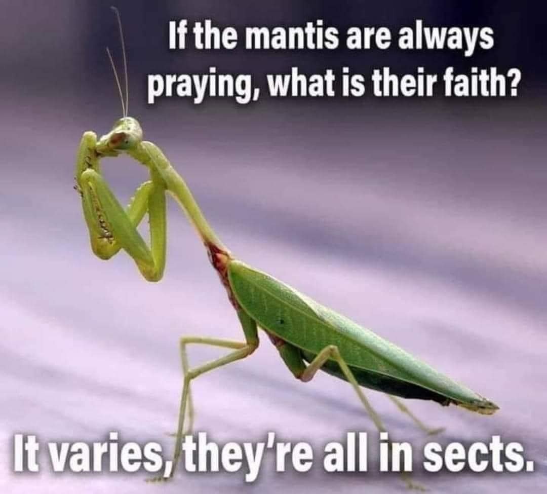 b55b2c28-54f8-4a34-9d69-fbc05d38c387