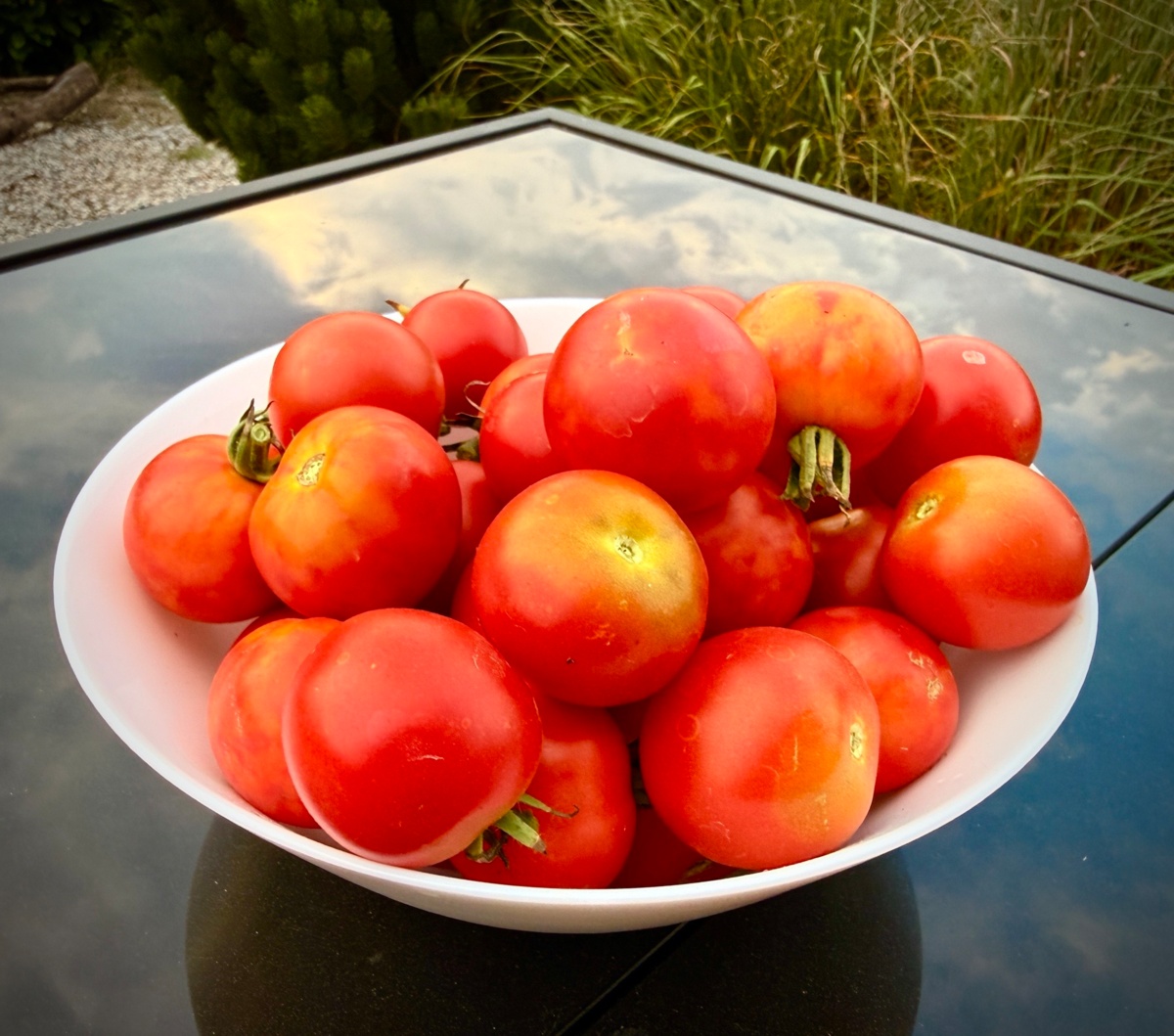 6c7f5598-0995-44f6-8e08-9584c0efbc6a