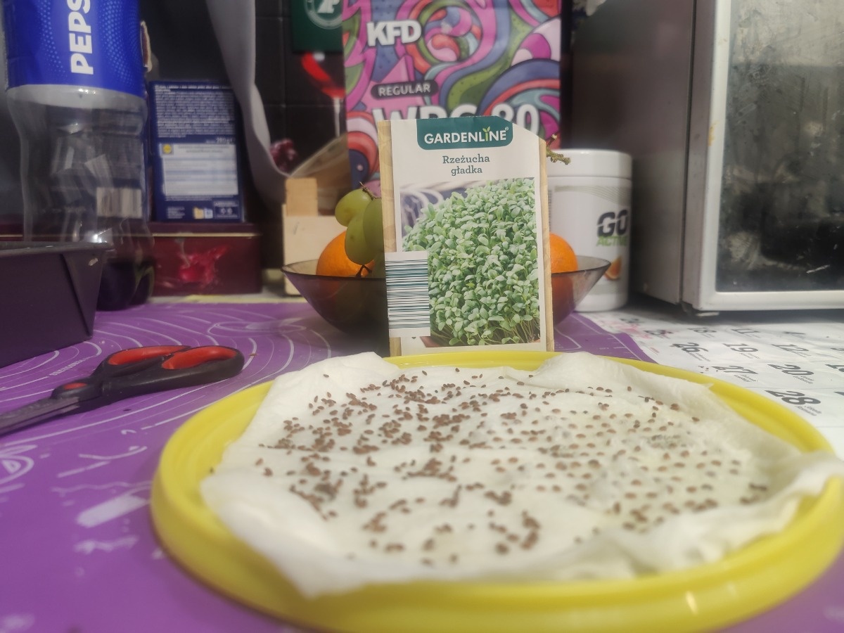 ed82f55d-e741-4493-9f41-8d080f489581