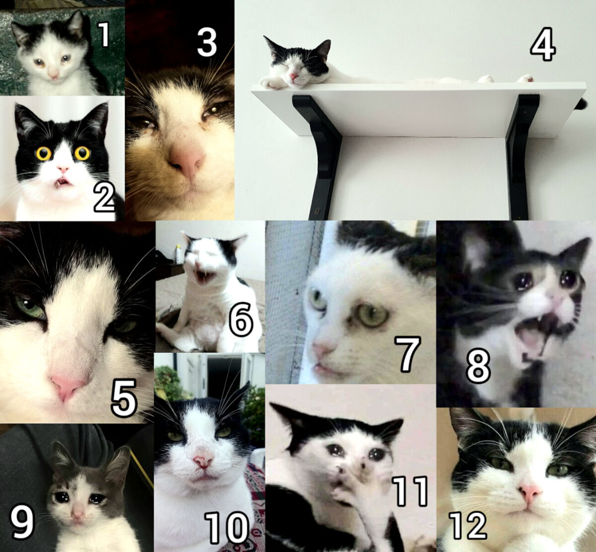 52a811f8-1f7f-4077-849c-318bd34f0e26