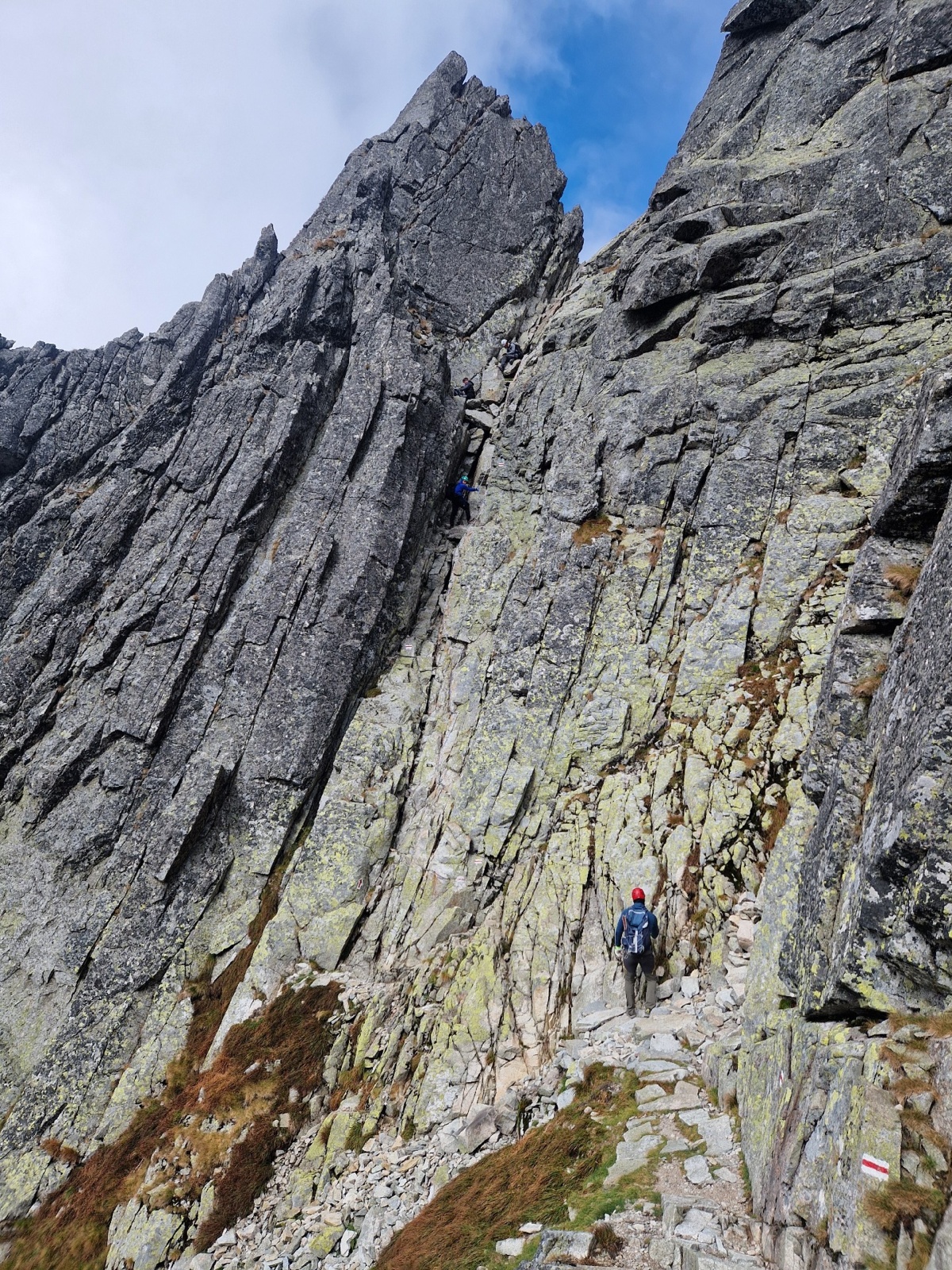 ce272809-d1e7-41db-b73d-49e52270528b