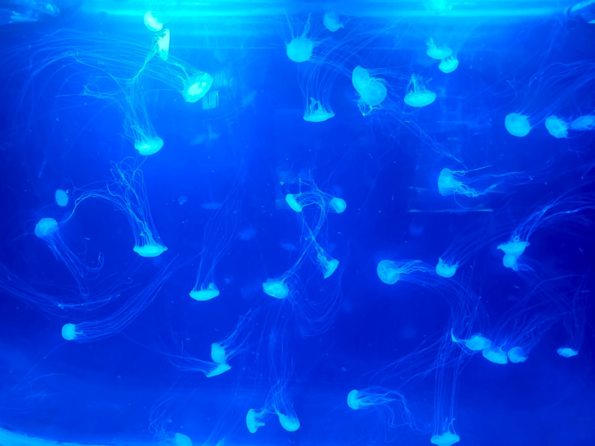 7935863c-88f3-41eb-899d-07525188f640