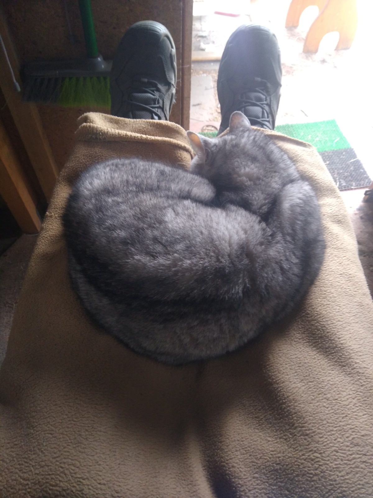 4ab2719a-bf28-4258-be95-a6b3e85aae8e