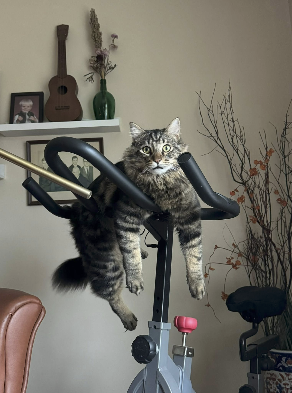 90cbc60f-f388-4fc9-9b18-7abc4ec10699