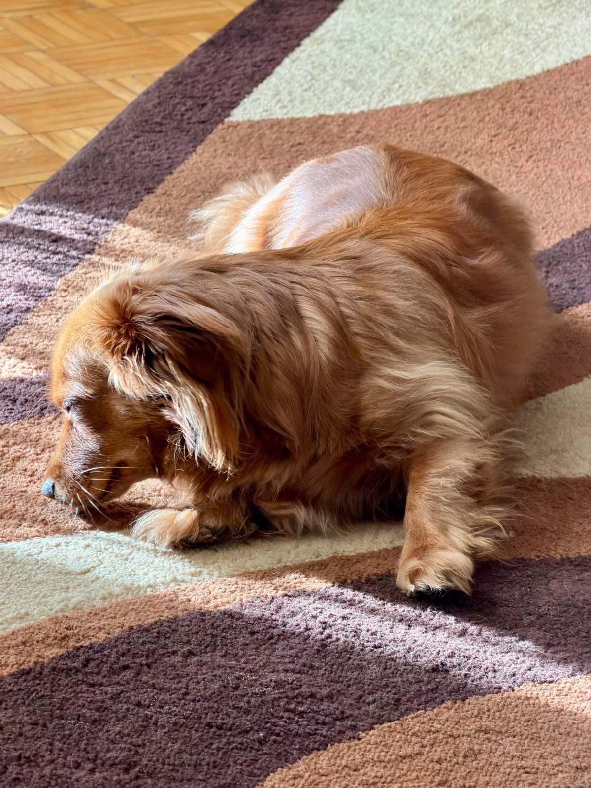 3b49b5fa-848e-4095-9536-dcf85cf87465