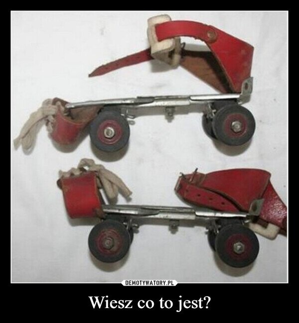 18f8fb9e-929d-4943-970f-0f4576966cb5