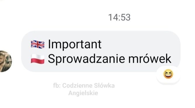 64ffc31a-3c31-44e1-a30c-c6fb00170488