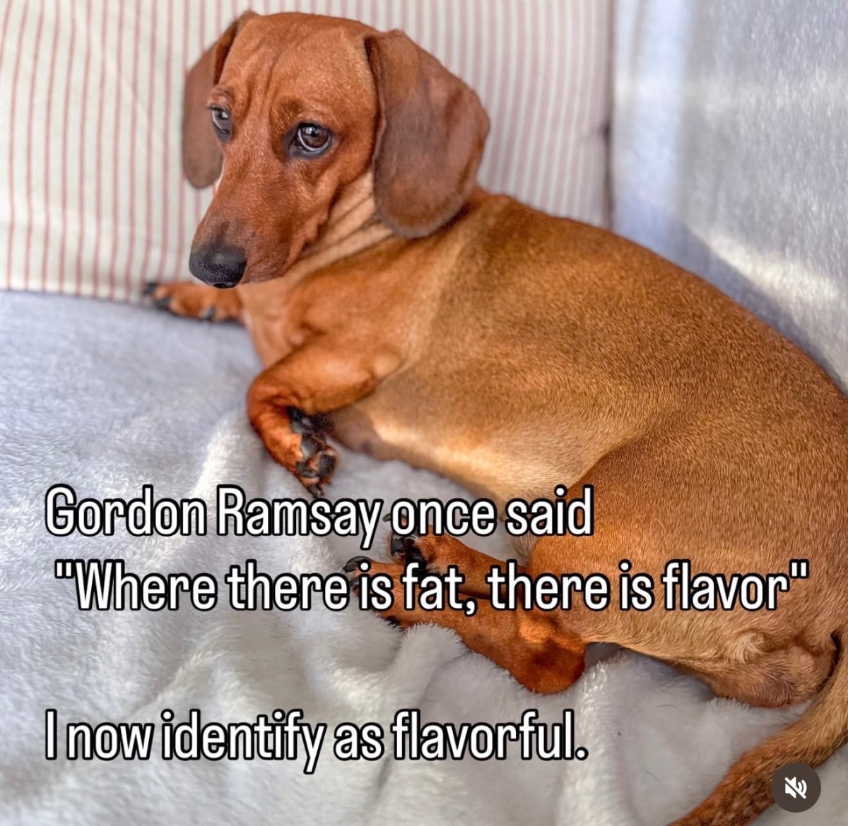 a1487f72-f6a3-4e9a-9f4d-7b7a1891e394