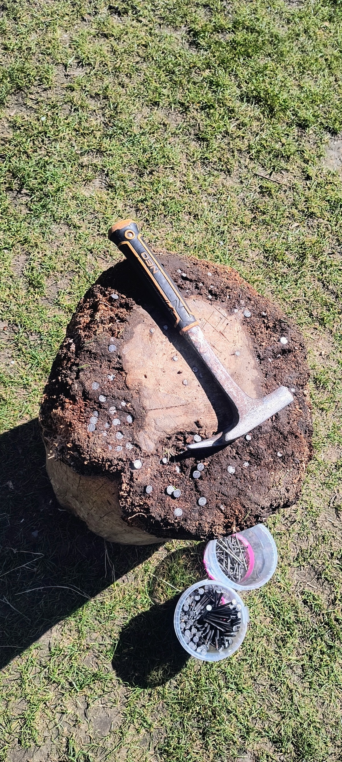 7da9a02e-4667-4d6d-b2f2-02e2989bc2b2