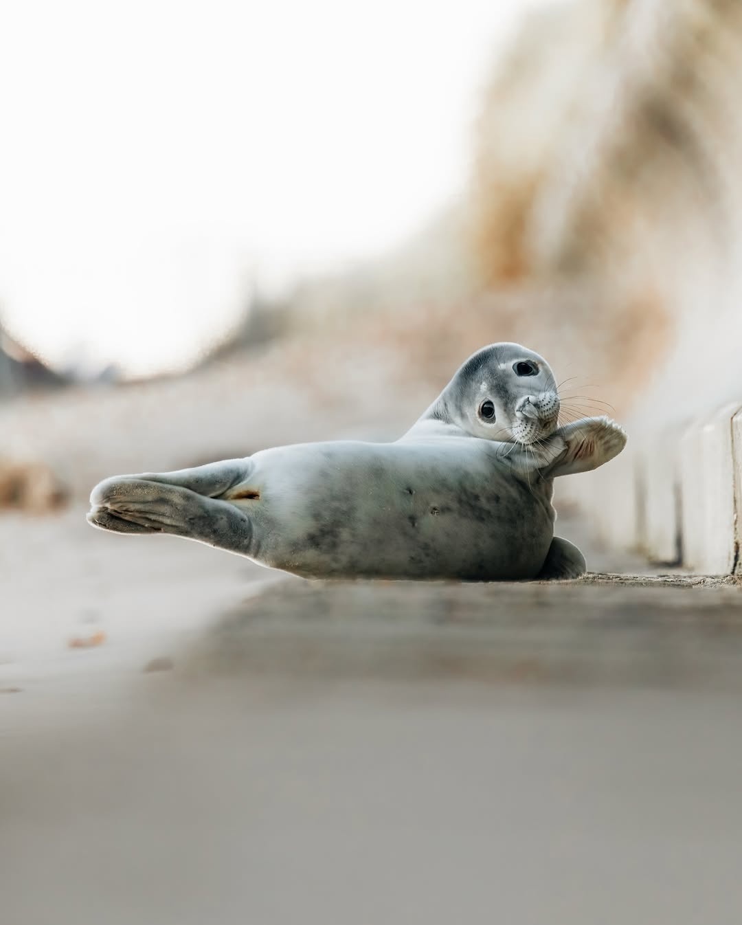 0a50ab08-15bc-4460-b817-0b51fb6baa10