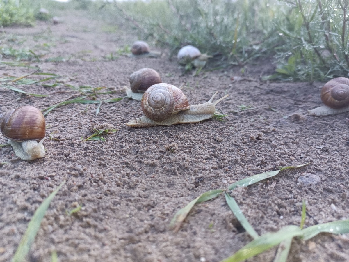 3419cd6d-4ffc-40dd-b6ff-8515c2f455b6