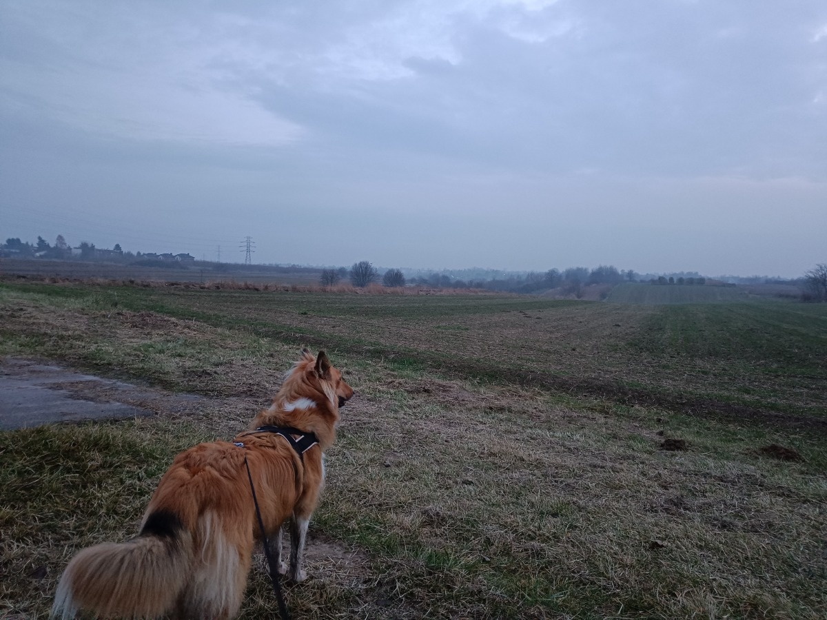 bb3e8987-1606-42ee-a9c6-8638d7f4ed9c