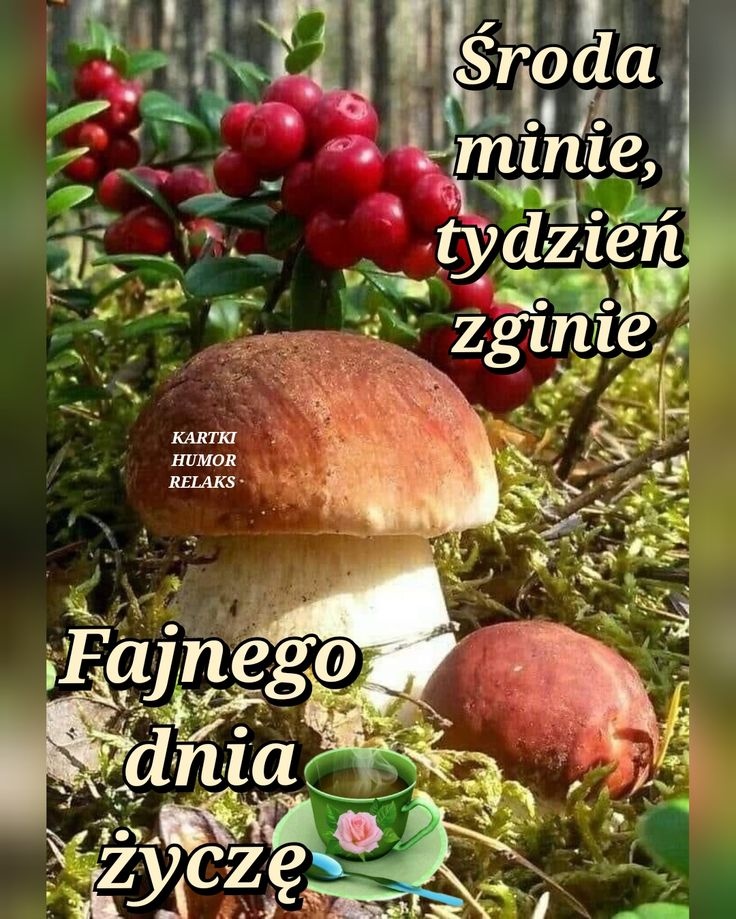 4406bcdc-7a16-4517-919c-3ae9e735de9e