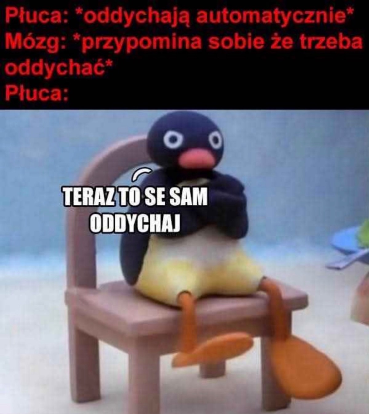 25c5afdd-3df4-46d7-a9fa-750c787fee1a