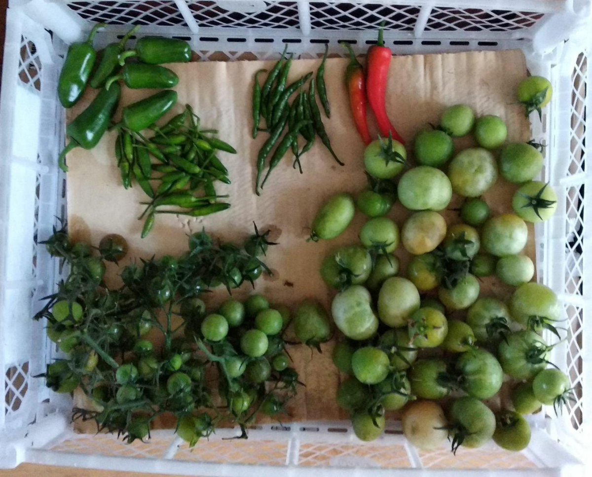 09538f26-3668-45dc-b248-ce4929347bf1