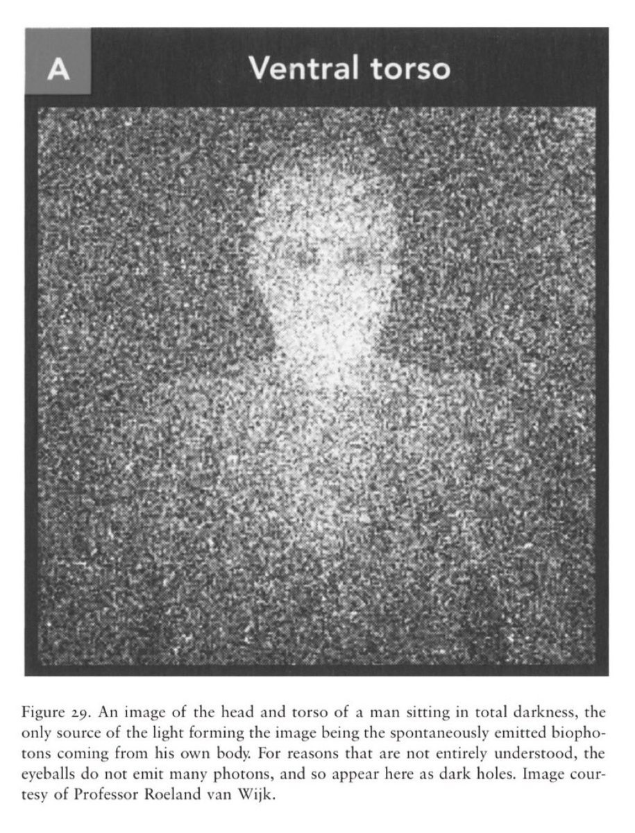 7dabe481-6988-4ee4-a61b-35f96c5416cc