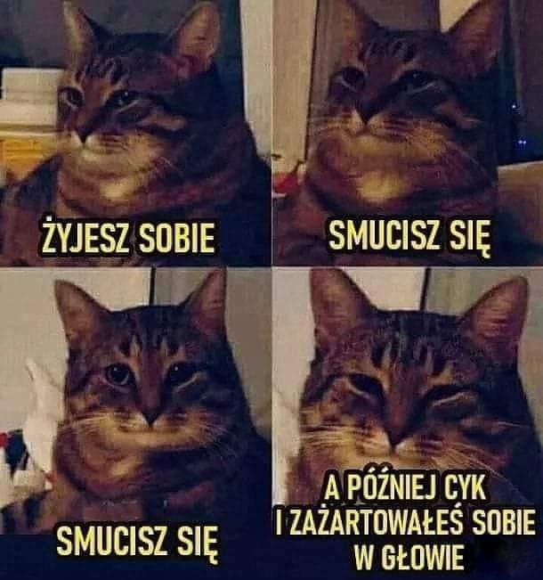 ee4ebd05-6ee8-4a88-8eed-aee262bbd111