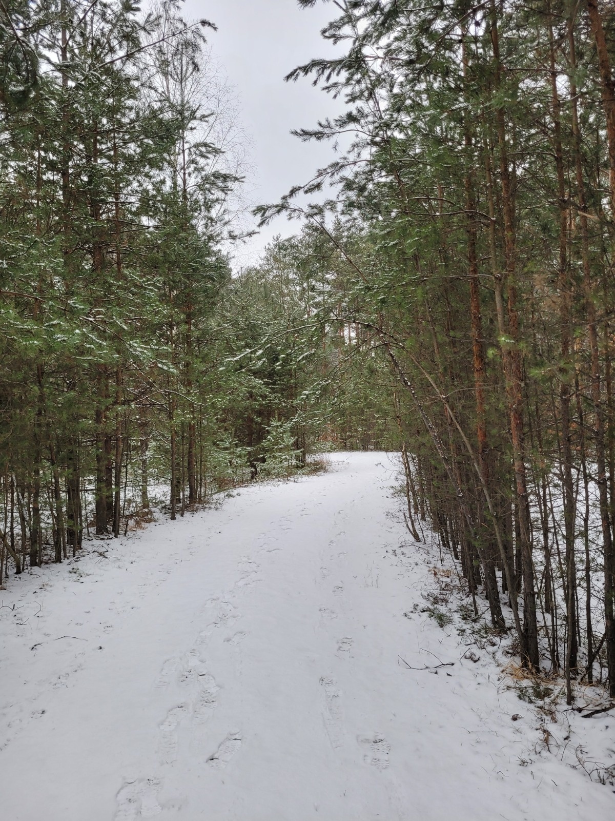 025a18f1-9db8-4446-b0d3-3619b71a9eda