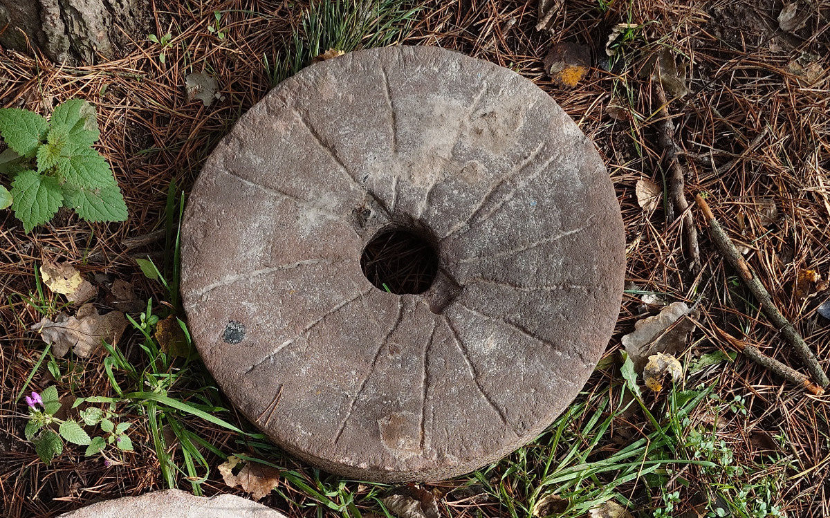 28208741-1dce-4d6f-8865-1ff29a9587a4