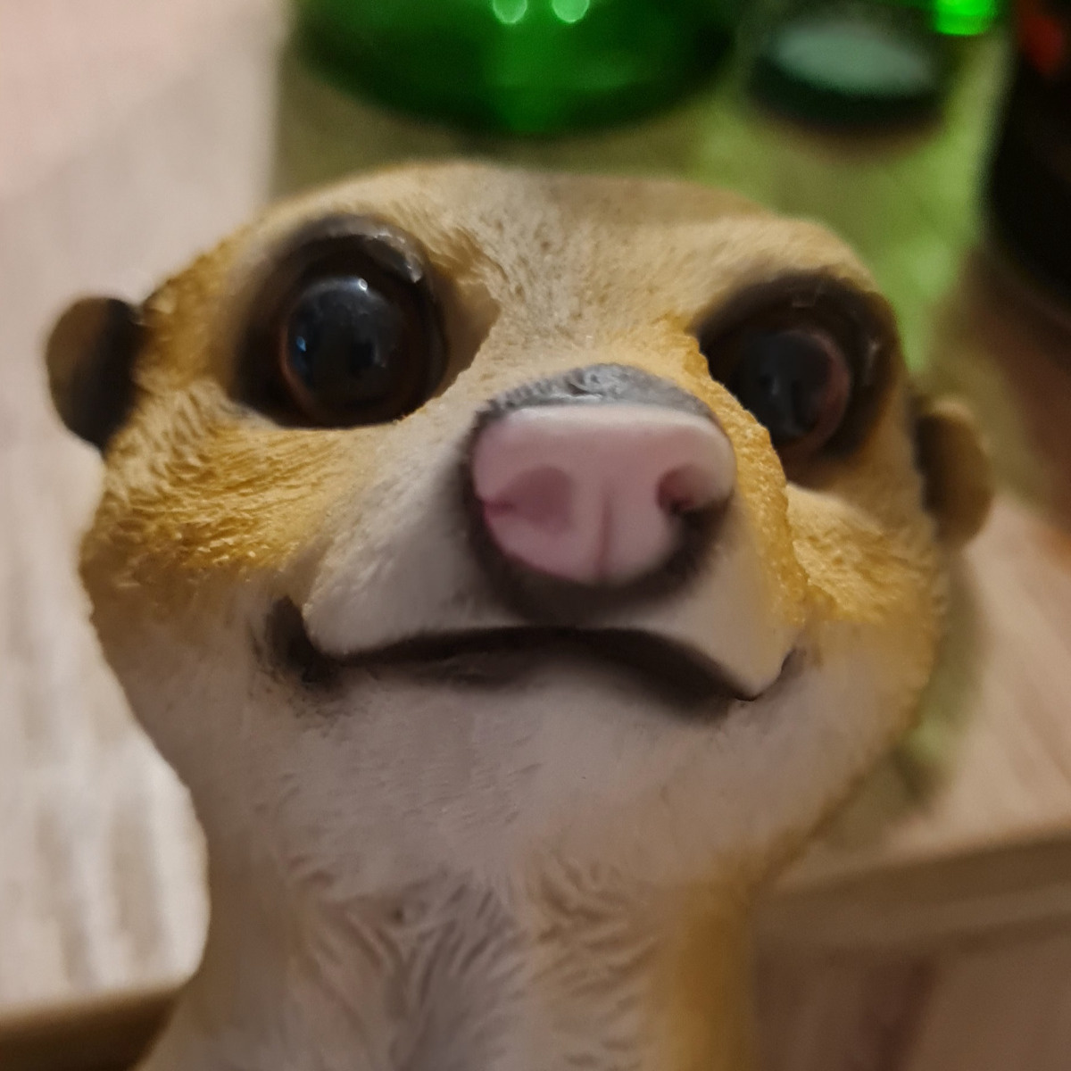 ccca119d-0bde-49ef-8a56-03331be3ccd6