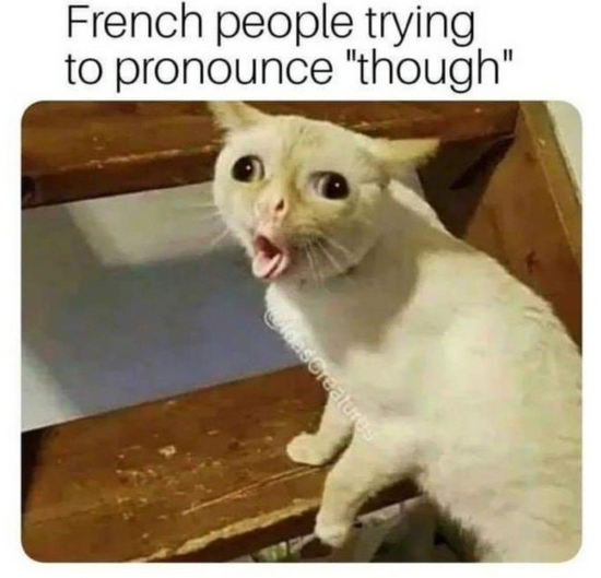 40a27012-fd03-4841-b8e1-69d53ac9c2b8