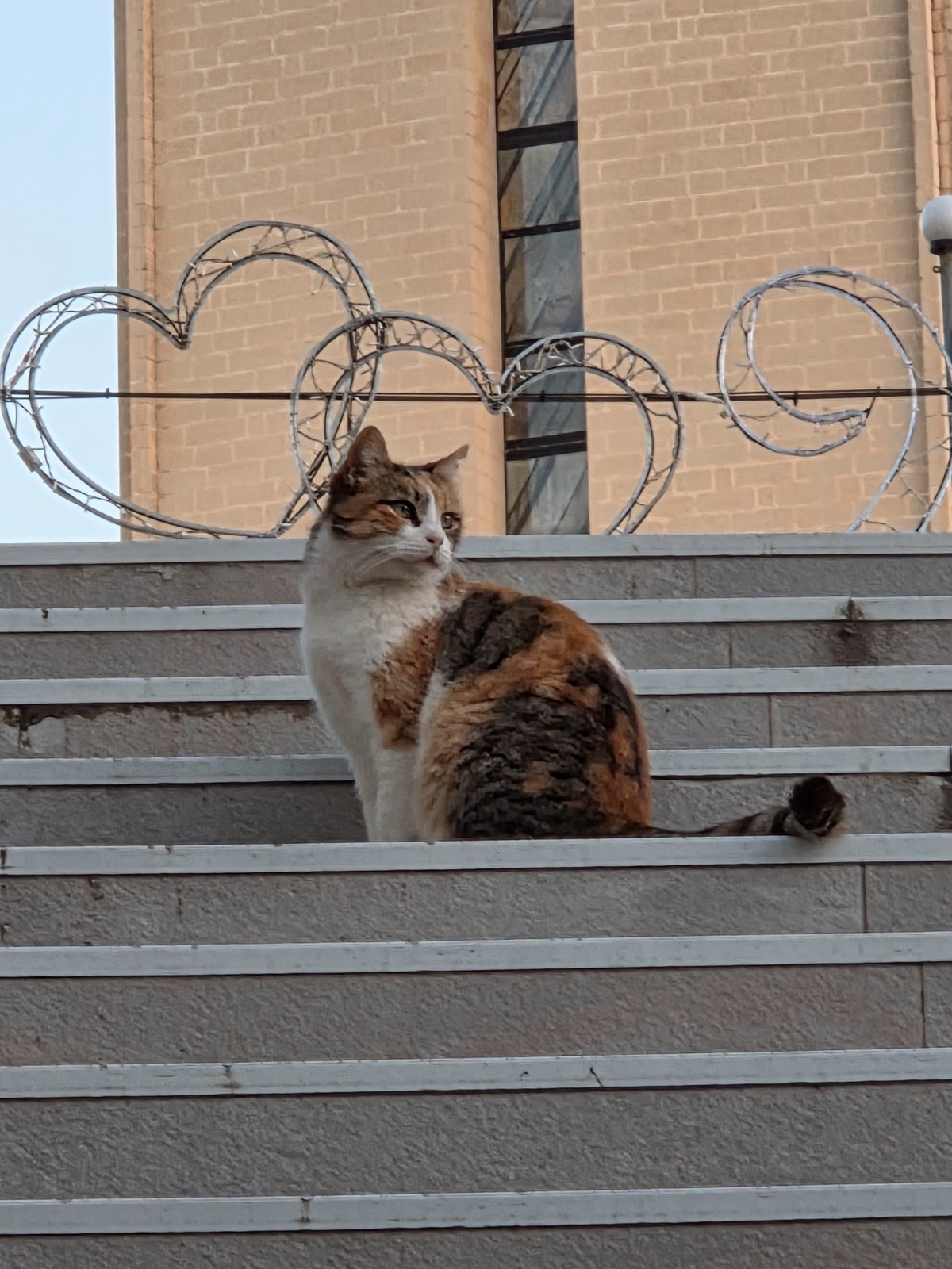 07b10e9c-14ae-465b-a955-b73c0645d931